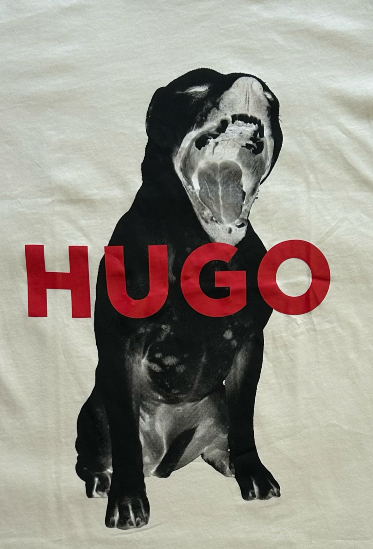 HUGO BOSS T-shirt